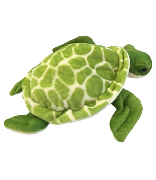 Shelly the Turtle